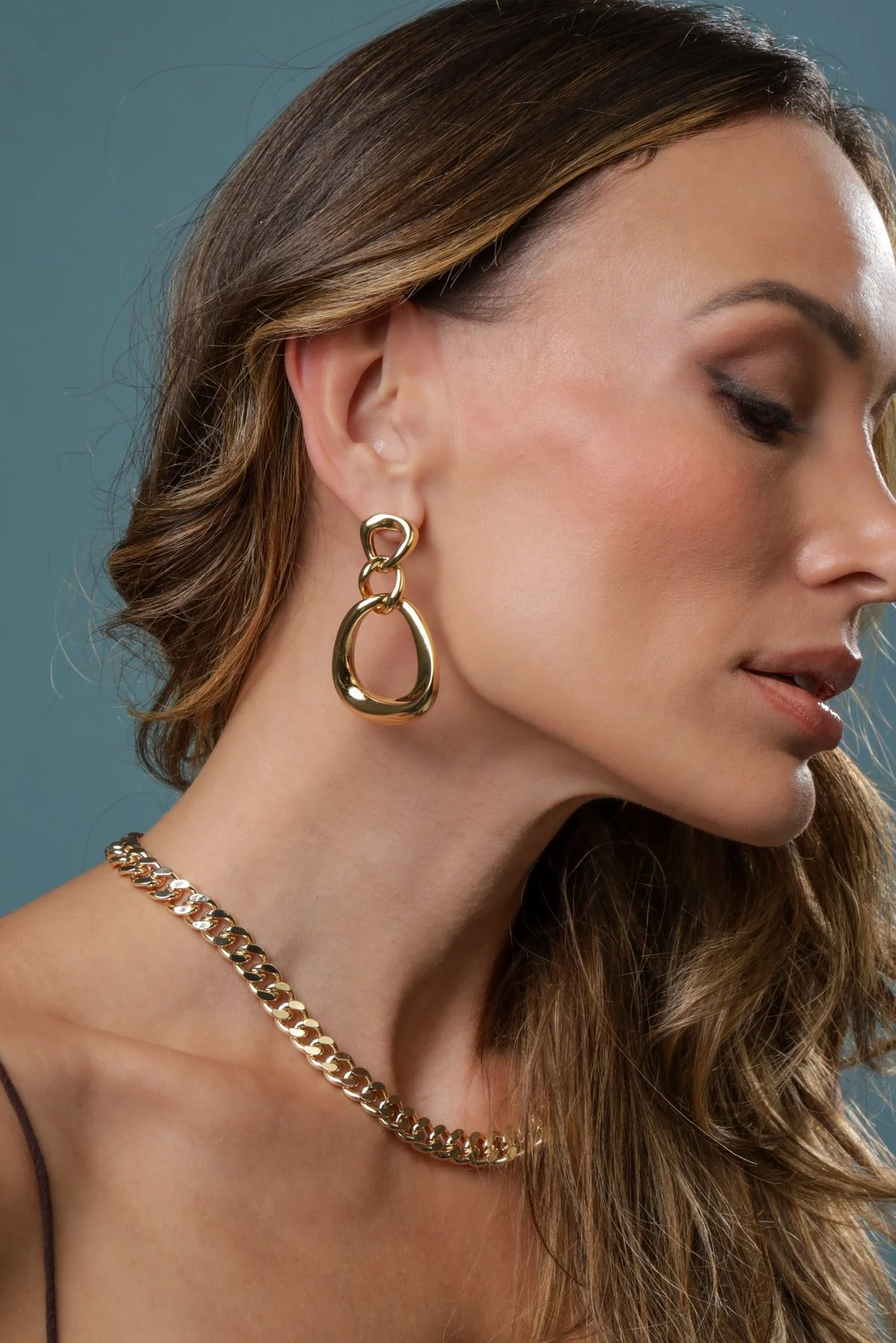 Two-Link Polished Earrings